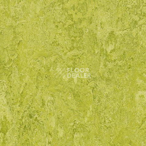 Линолеум Forbo Marmoleum Decibel on Order 322435 chartreuse фото 1 | FLOORDEALER